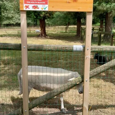 Mobilhome Cosy Aulywan * La Boissiere-de-Montaigu