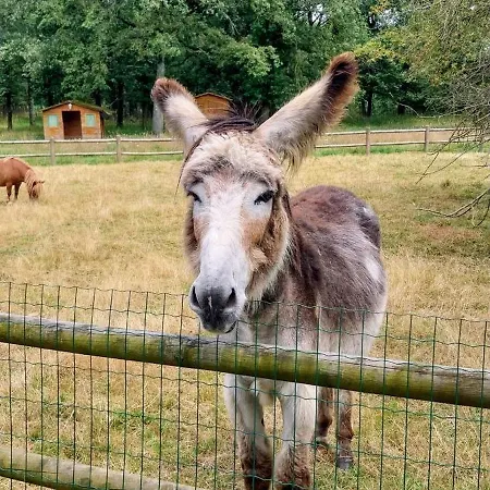 Mobilhome Cosy Aulywan Campingplatz *