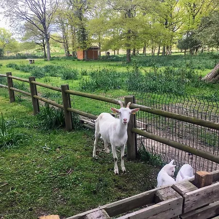 Mobilhome Cosy Aulywan La Boissiere-de-Montaigu