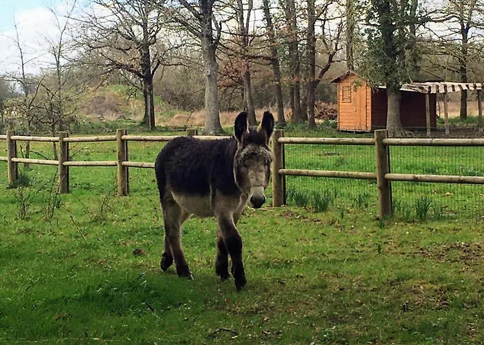 Mobilhome Cosy Aulywan *