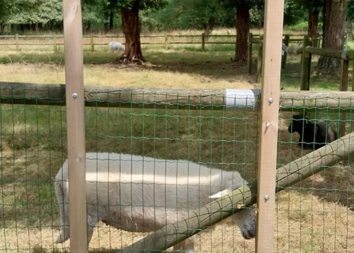 Mobilhome Cosy Aulywan * La Boissiere-de-Montaigu