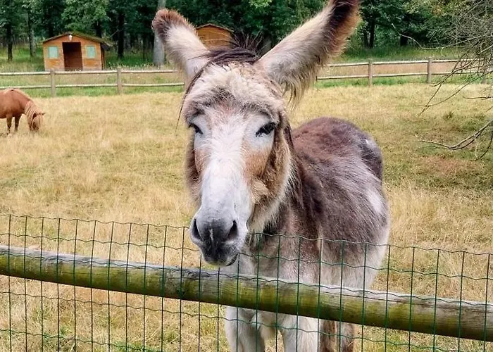 Mobilhome Cosy Aulywan 캠프장 *