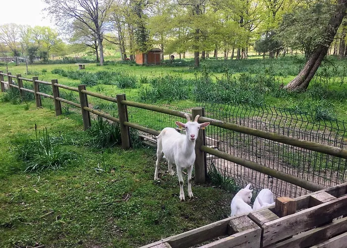 Mobilhome Cosy Aulywan La Boissiere-de-Montaigu